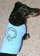 Dox-Zen Dachshund Dog Tank Dox-Zen Dachshund Dog Tank